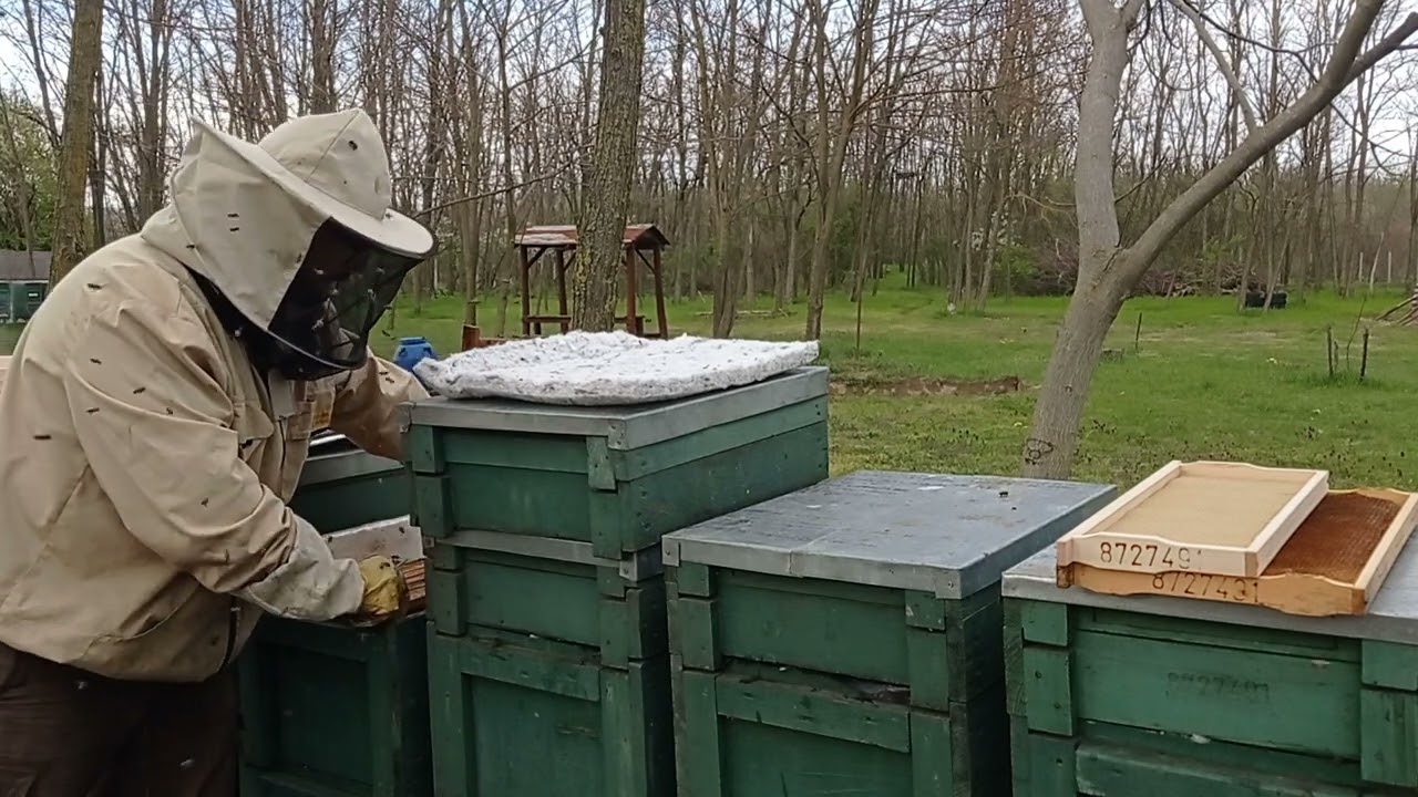 Biológiai atkacsapda és műlép betűzés egy ütemben