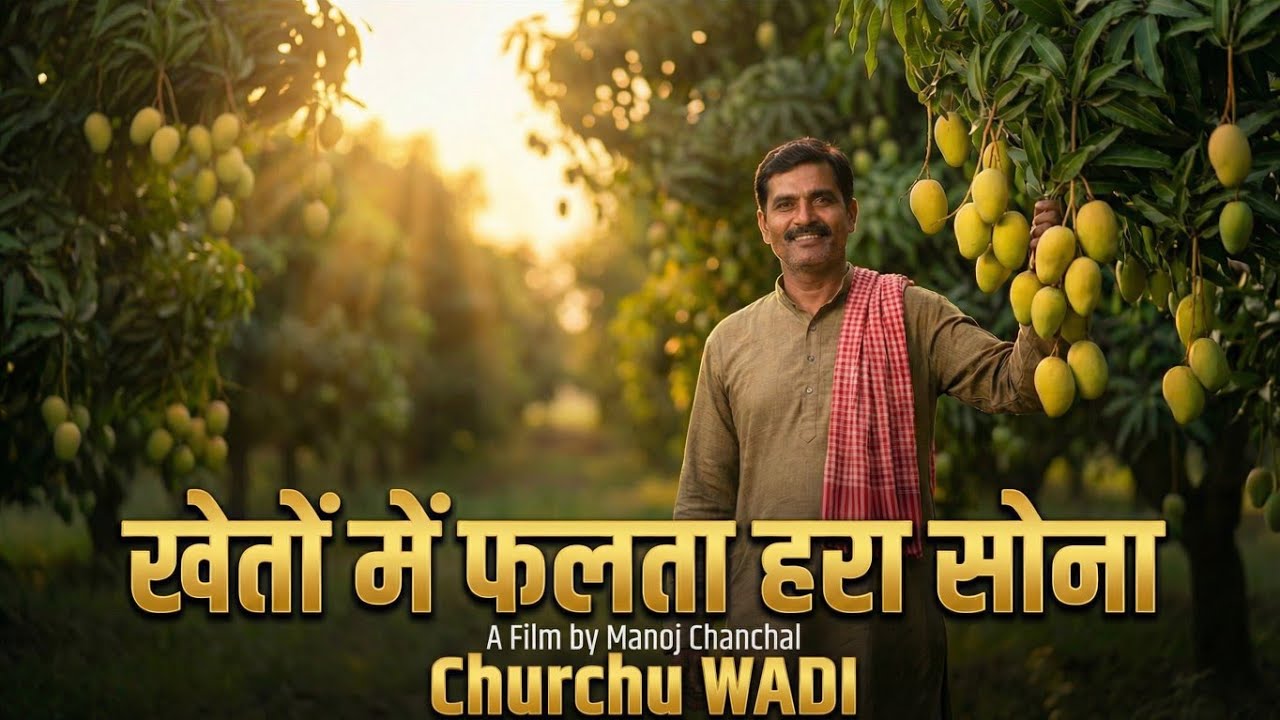 Wadi Churchu। TDF Nabard Project।। SUPPORT।। हरा सोना 