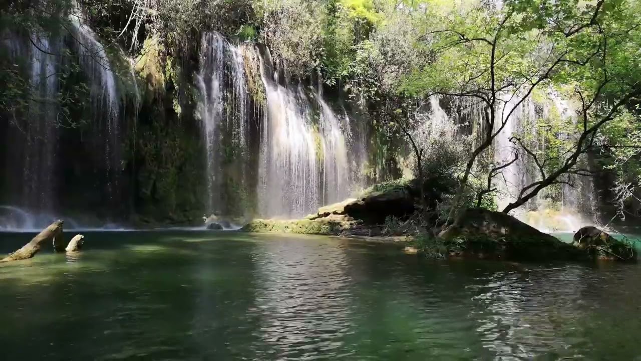 Forest, rivers and waterfalls images with violin and piano music