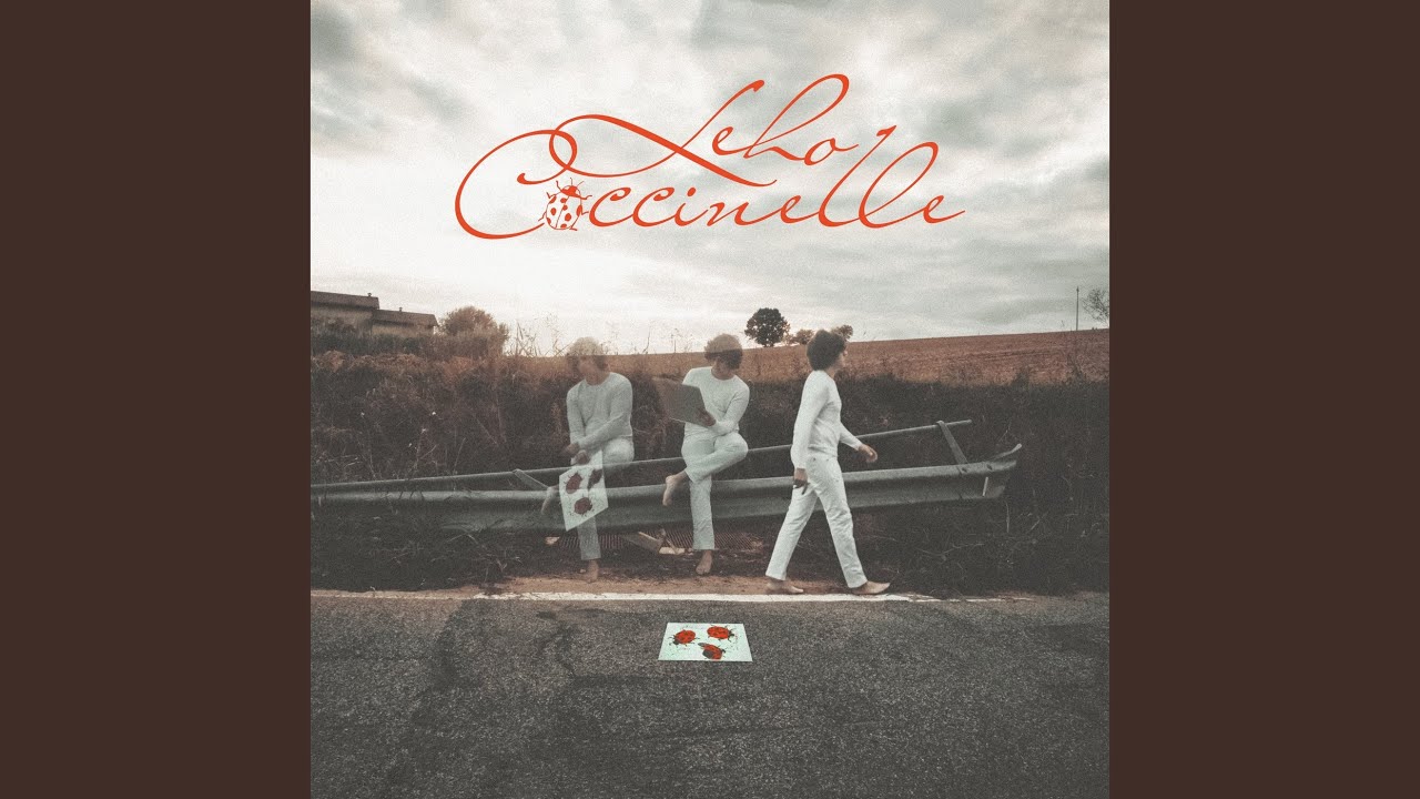 Coccinelle