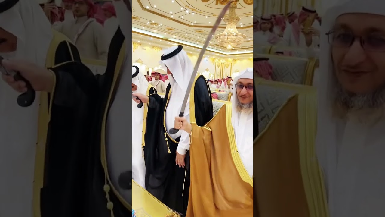 ملفى قبيلة بني سعد على قبيلة المحامدة والقاع