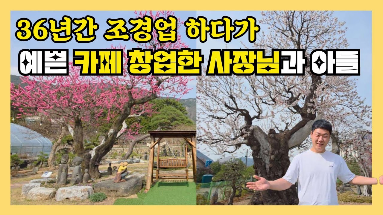 36년간 조경업 하다가 예쁜 카페 창업한 사장님과 아들 ##창원가볼만한곳 #창원예쁜카페 #창원화수목카페