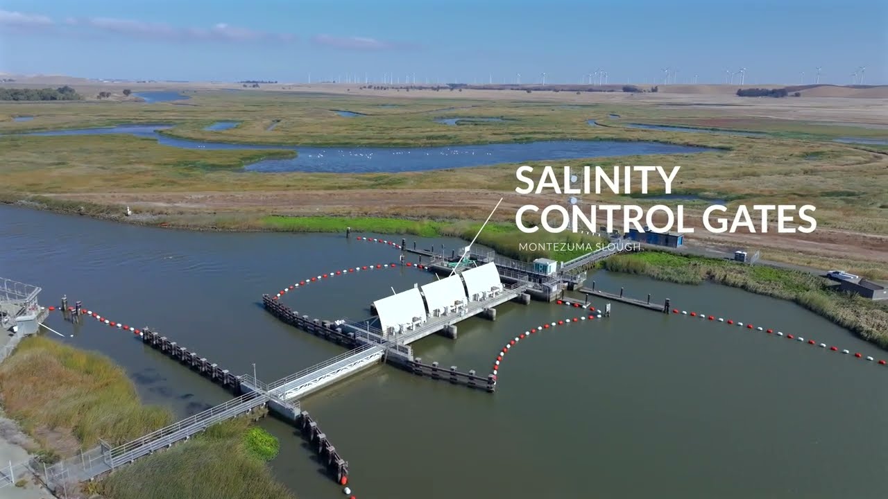 Discovering the Delta – Part Four: Keeping the Salt at Bay
