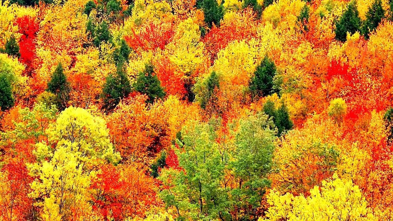 Peaceful Music, Relaxing Music, Instrumental Music, 