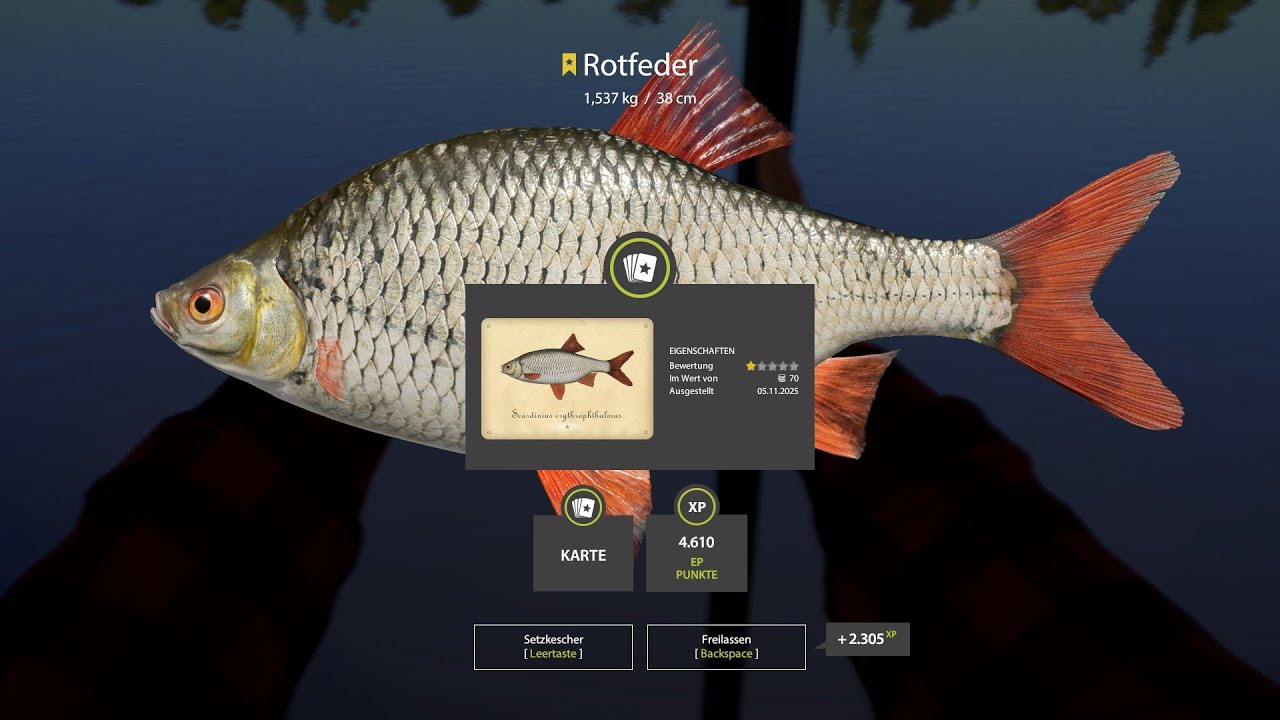 Russian Fishing 4. Sichling und Rotfeder an der Sura