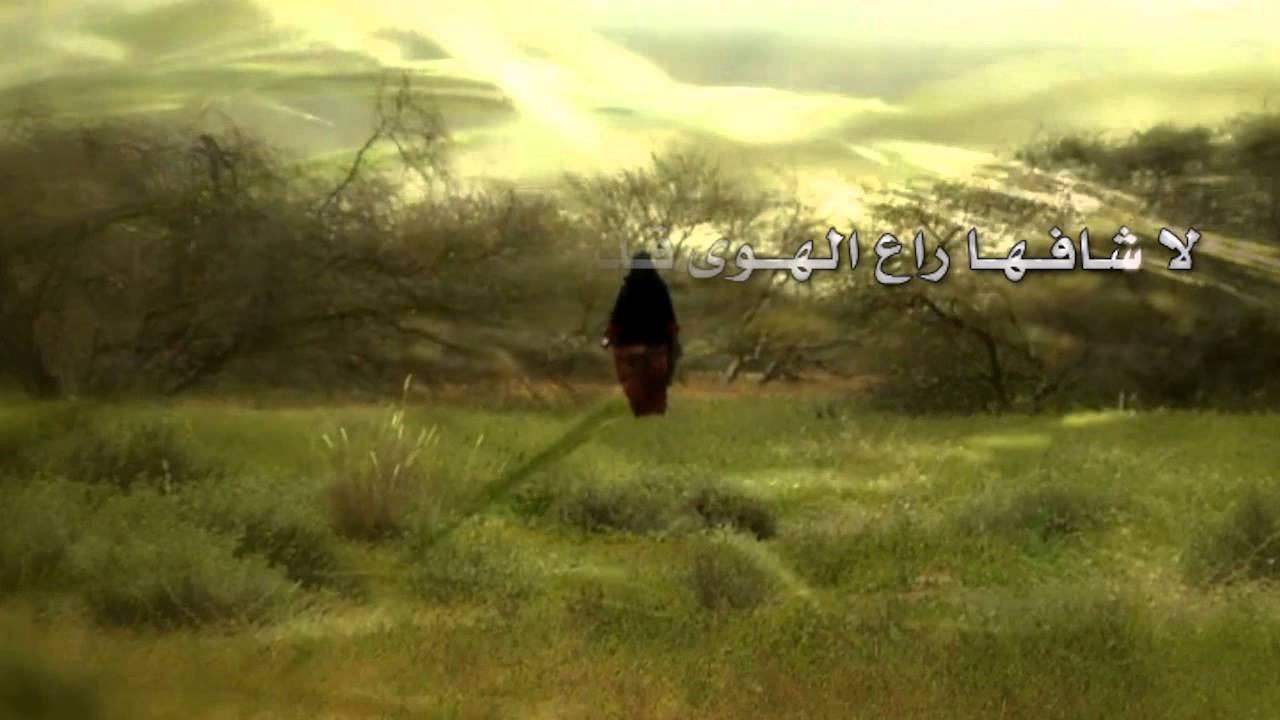 شيلة نون من المنشا كلمات عبد العزيز بن طويق أداء صوت الخليج ناصر السيحاني تصميم عفيف الشوق حصري