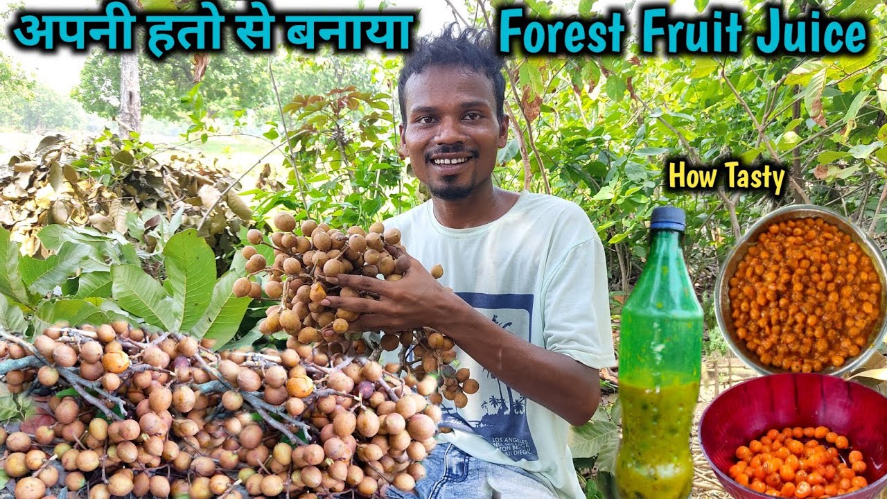अपनी हतो से बनाया Forest Fruit Juice | Kusum Phal Juice | Jungle Lifestyle #vlog
