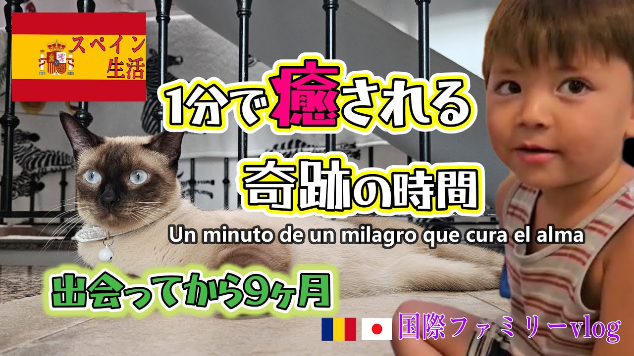 【１分で癒される】世界一かわいいコンビ｜純粋な愛と優しさ｜猫と息子物語｜