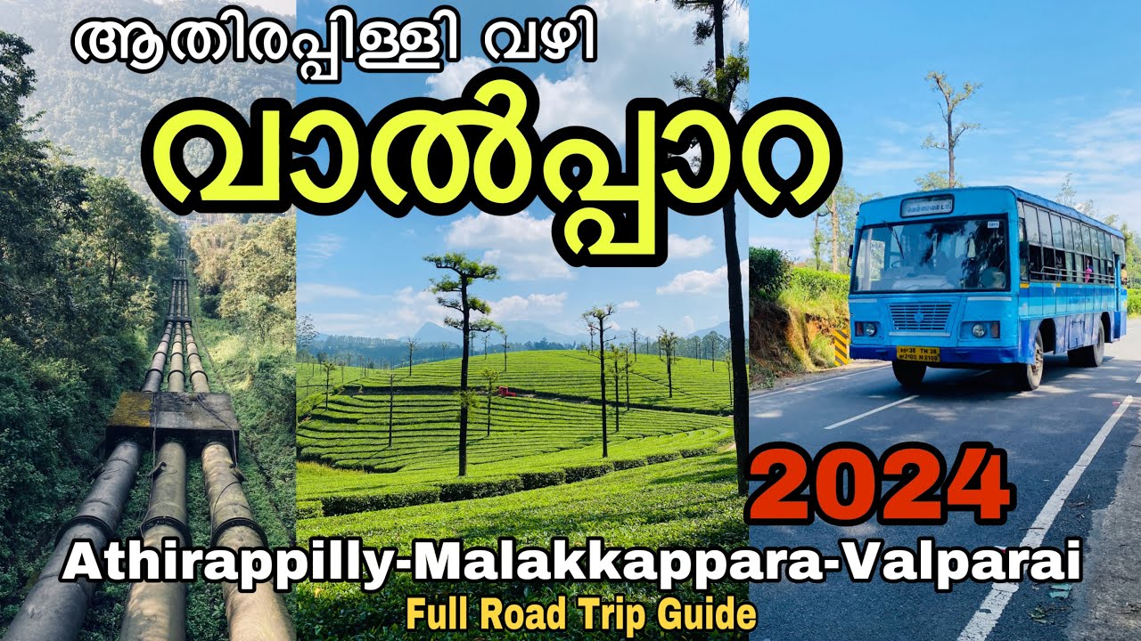 ജീവിതത്തിൽ ഒരിക്കലെങ്കിലും പോകേണ്ട ഒരു യാത്ര 😍 Athirappilly to Valparai Road Trip #travel #valparai