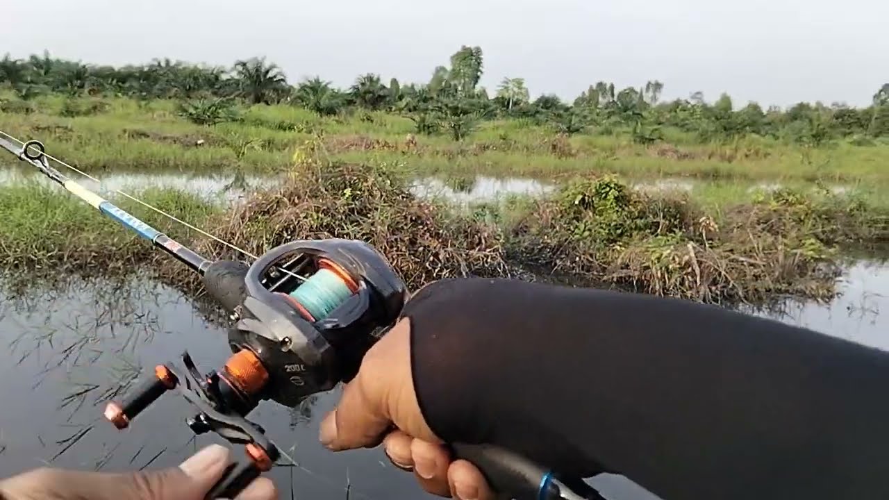 MANCING SAMPAI SORE
