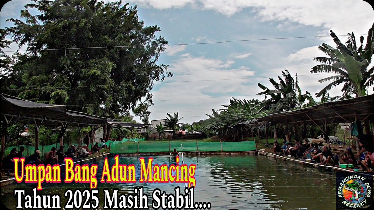Umpan Adun Mancing,BAM jagung + DN ( Dadan Enan ) #mancing #fishing #adunmancing