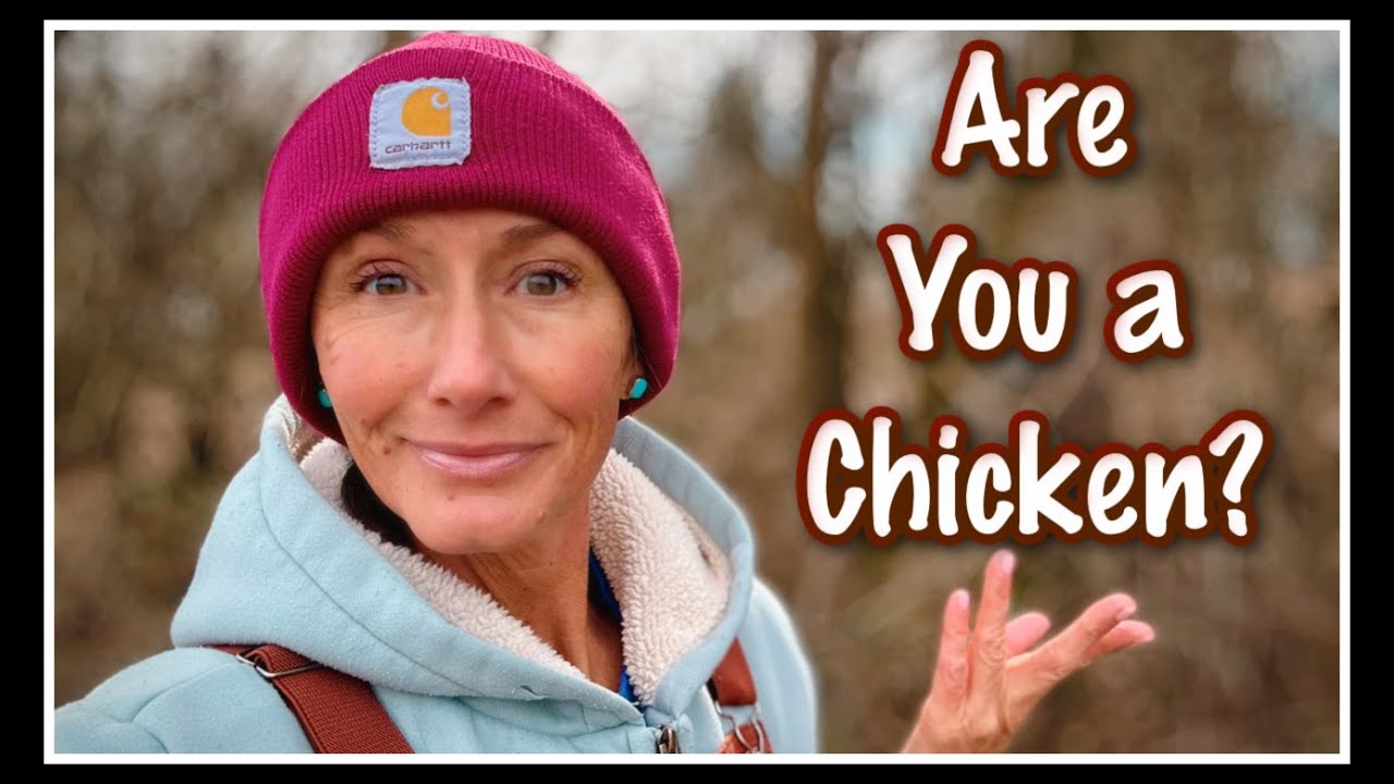 🐓 Are YOU a Chicken?