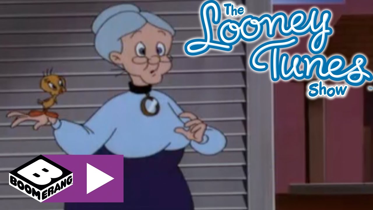 Sylvester & Tweety | Dev Sinek | Boomerang