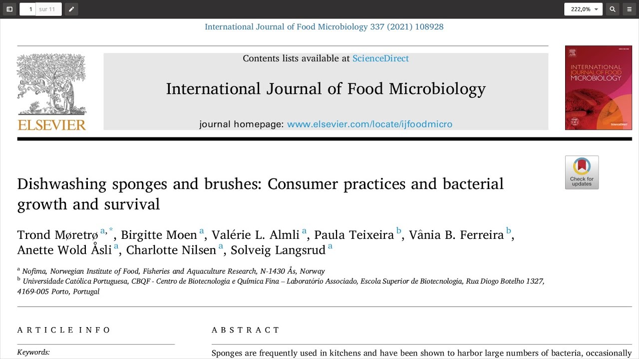 Lavage à vaisselle éponges et pinceaux: pratiques des consommateurs et croissance bactérienne et sur