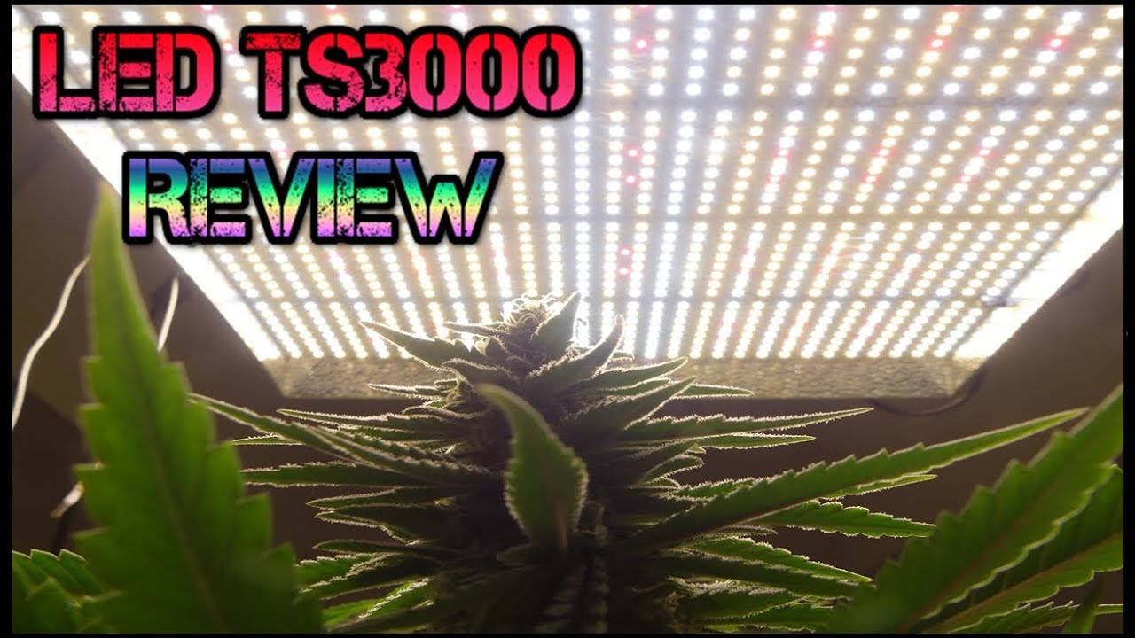 LED TS3000 REVIEW | MARS HYDRO 💡