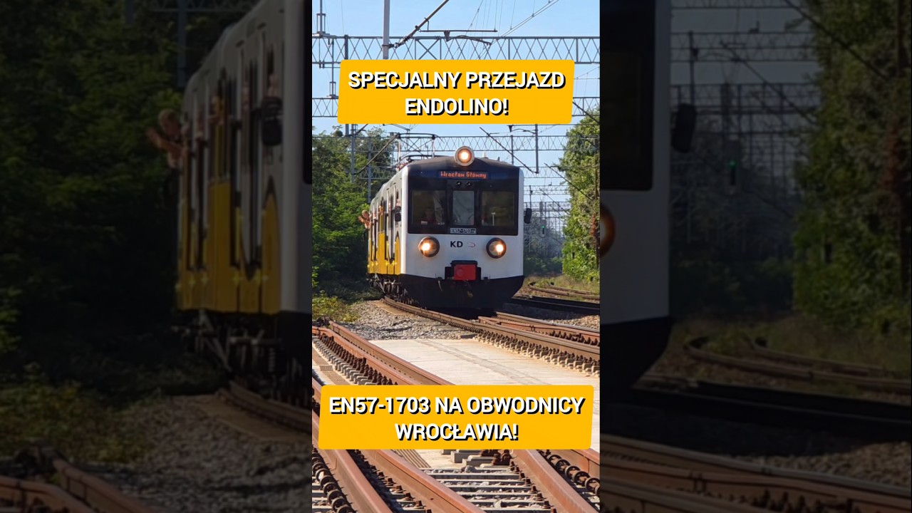 EN57-1703, CZYLI ENdolino, PRZEJEŻDŻA Z OKAZJI 80-LECIA PAFAWAGU TOWAROWĄ OBWODNICĄ WROCŁAWIA!