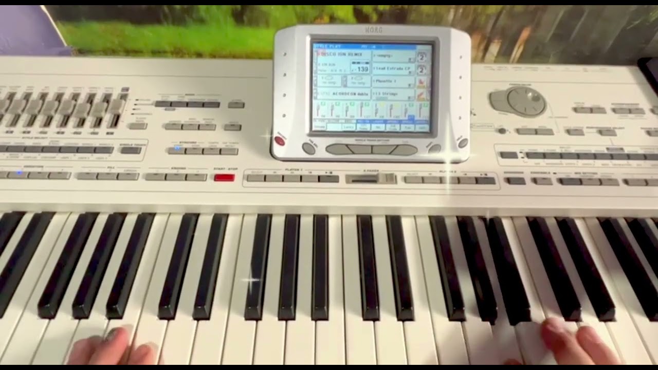 korg disco pa2x ion