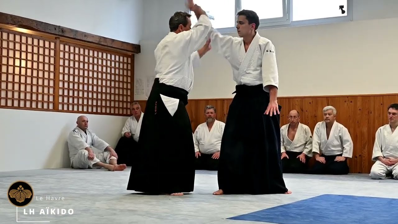 Christian Tissier Shihan : stage d'aïkido Dojo VDB 19 février 2022 (2ème partie)