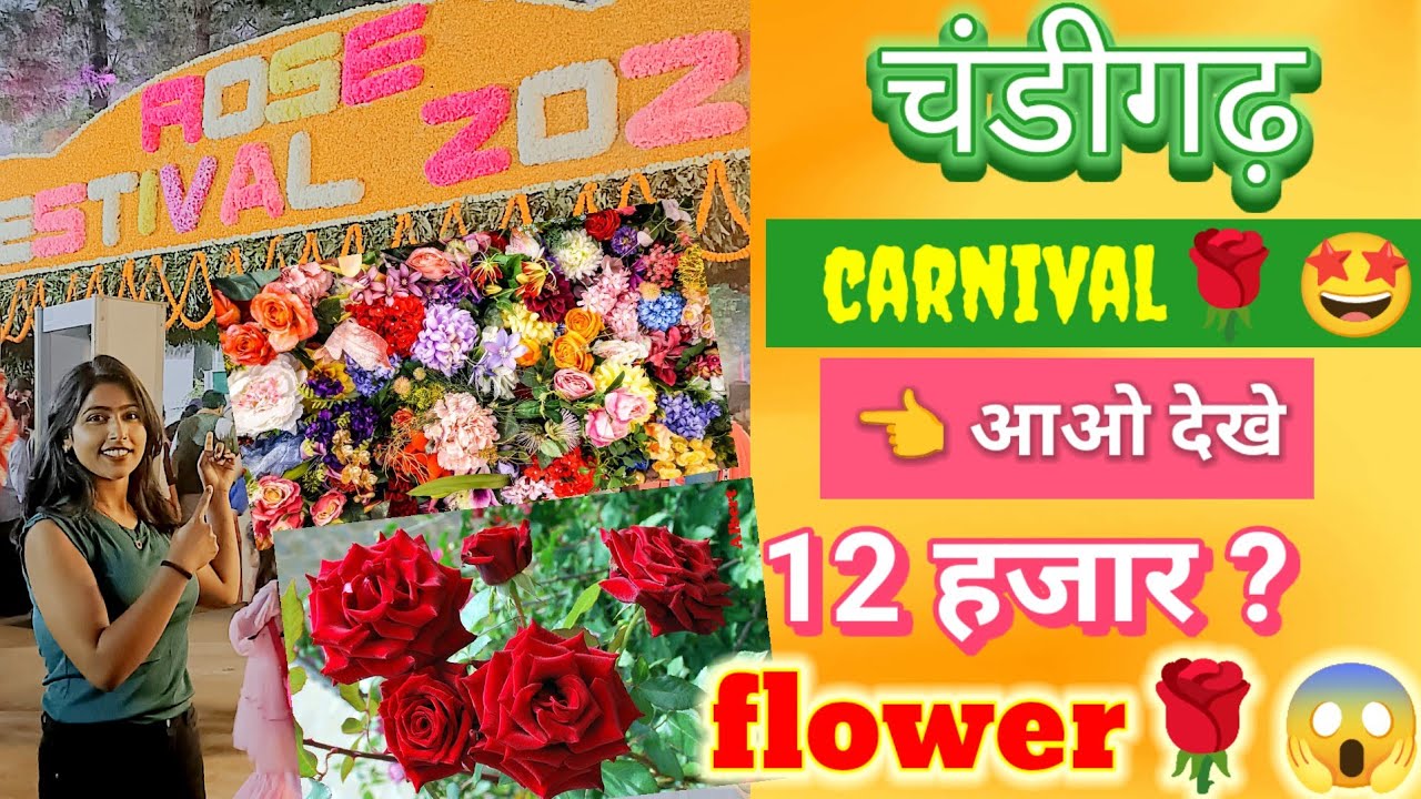 Day 53...Chandigarh festival🤩