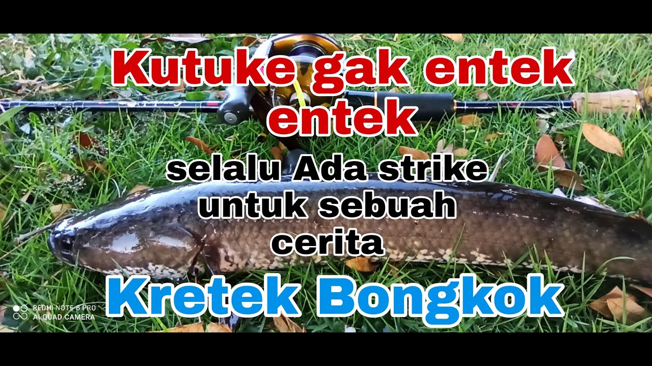 Shimano Scorpion metanium MG, selalu ada cerita strike di kretek Bongkok SBY
