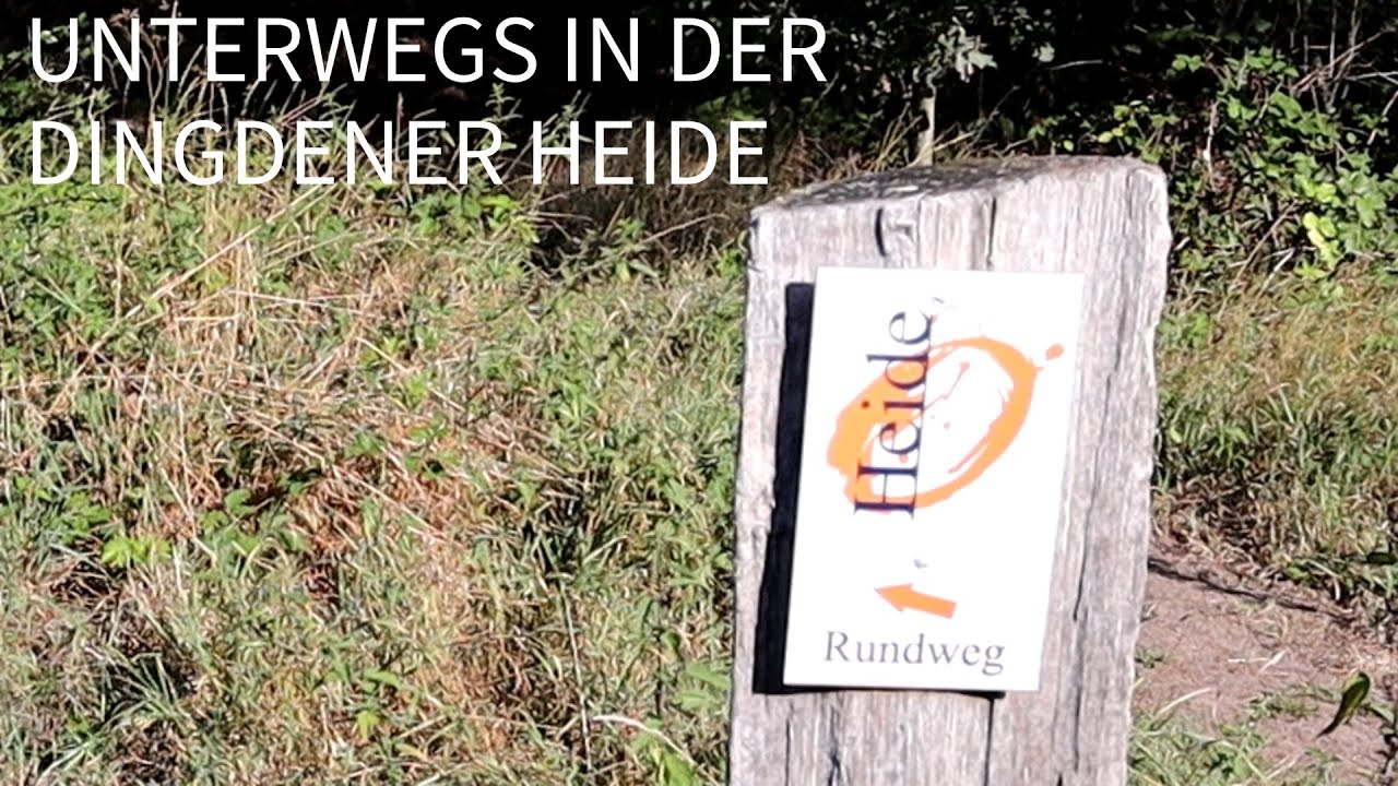 Unterwegs in der Dingdener Heide