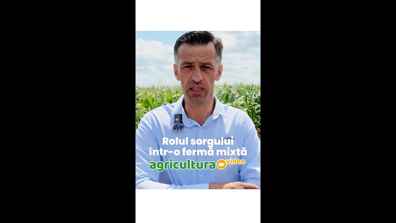 Rolul sorgului într-o fermă mixtă, cu 84.000 de găini outoare, din jud. Neamț