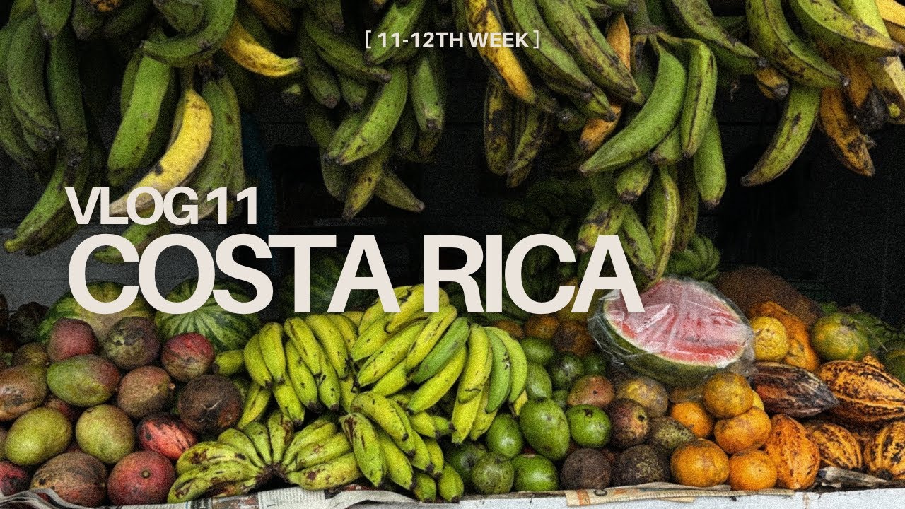 2 semaines au Costa Rica: plages, nature et concert de Bad Bunny | Vlog 11