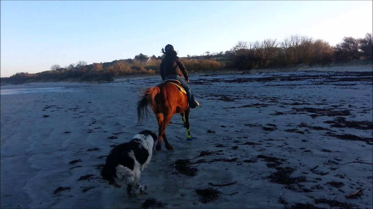 BALADE N°2 - A la plage à cheval ! samedi 8 mars 2014
