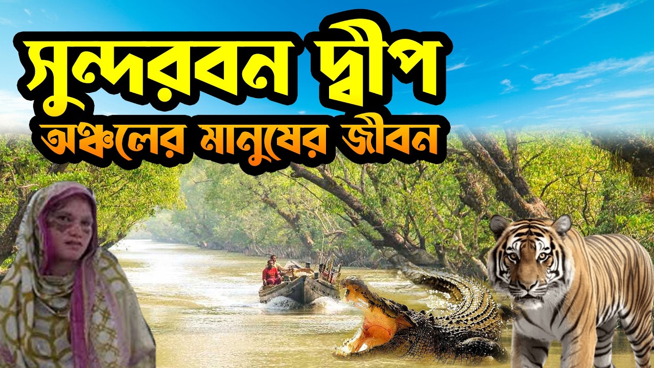 সুন্দরবনের দ্বীপ অঞ্চলের মানুষ সারা বছর কেন ঝুলন্ত অবস্থায় বসবাস করে | ফকির কোনা গ্রাম | সুন্দরবন