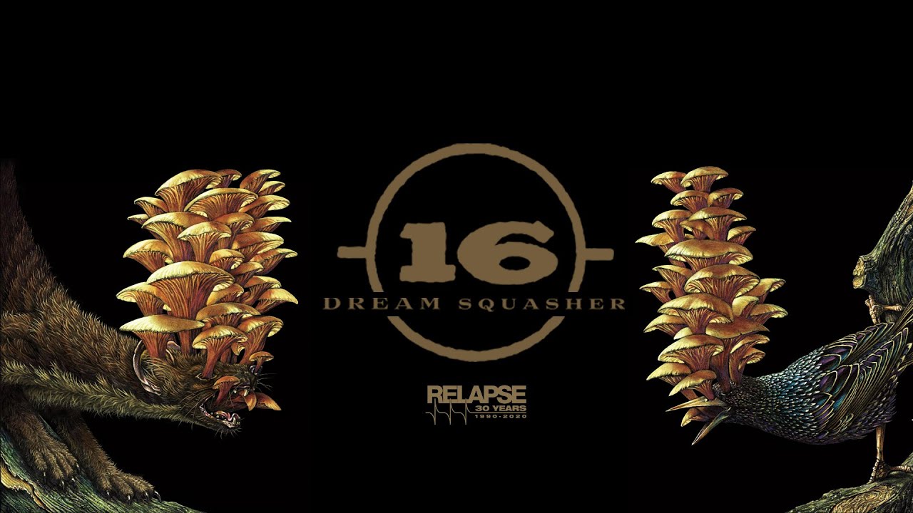 -(16)- - Dream Squasher [FULL ALBUM STREAM]