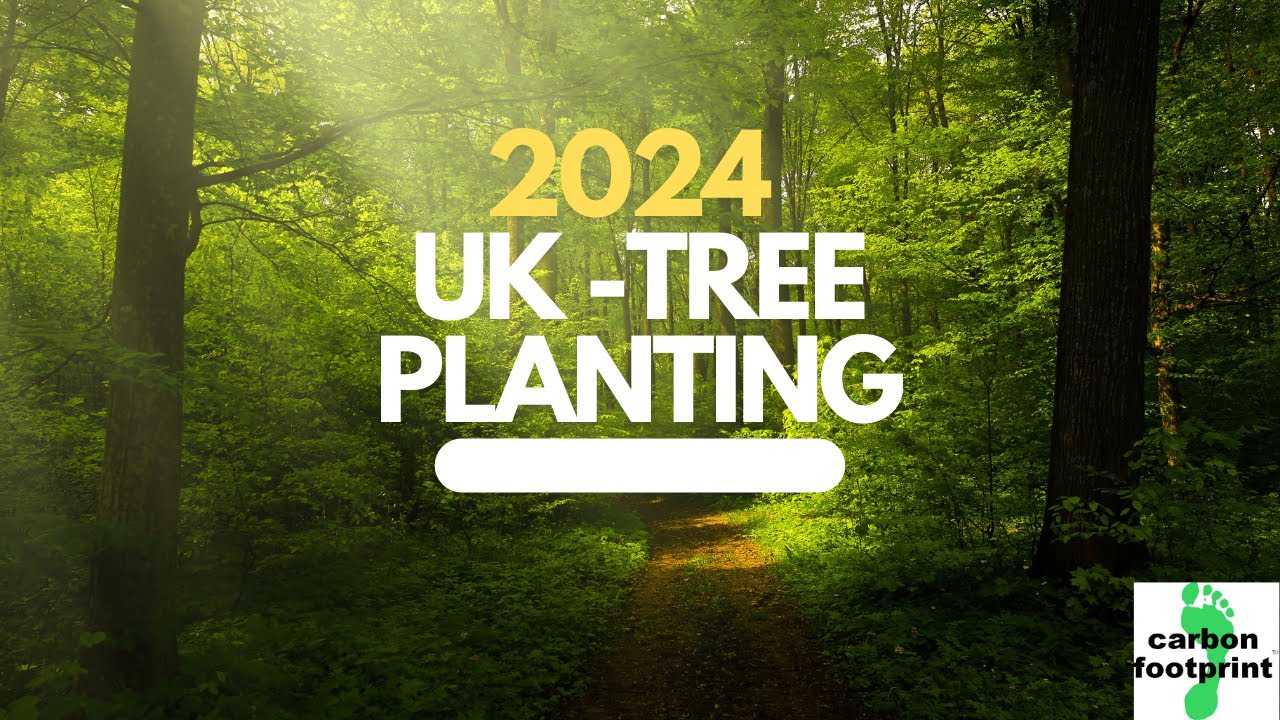 2024 - UK Tree Planting Review
