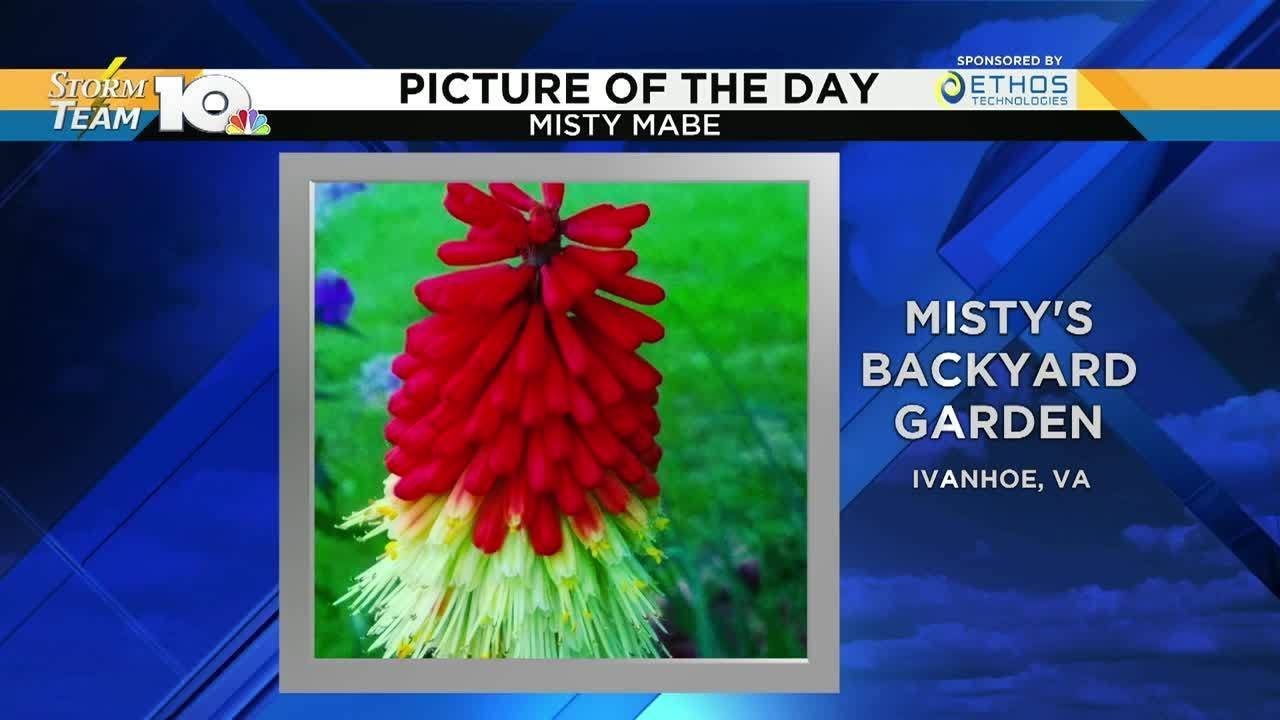 May 19 Picture of the Day