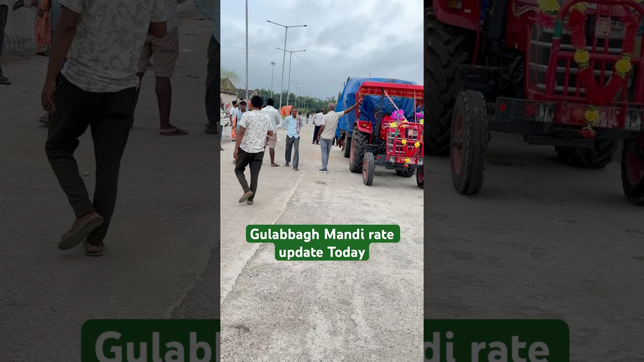 Gulabbagh मंडी भाव आज का !!🌽🌾#mandibhav #mandi #mandibhavtoday #shorts #makka #maize #kisan #new