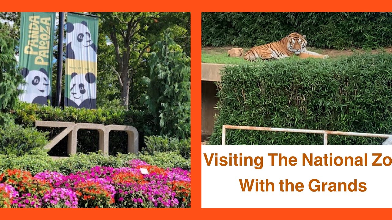 VISITING THE NATIONAL ZOO WITH THE GRANDS