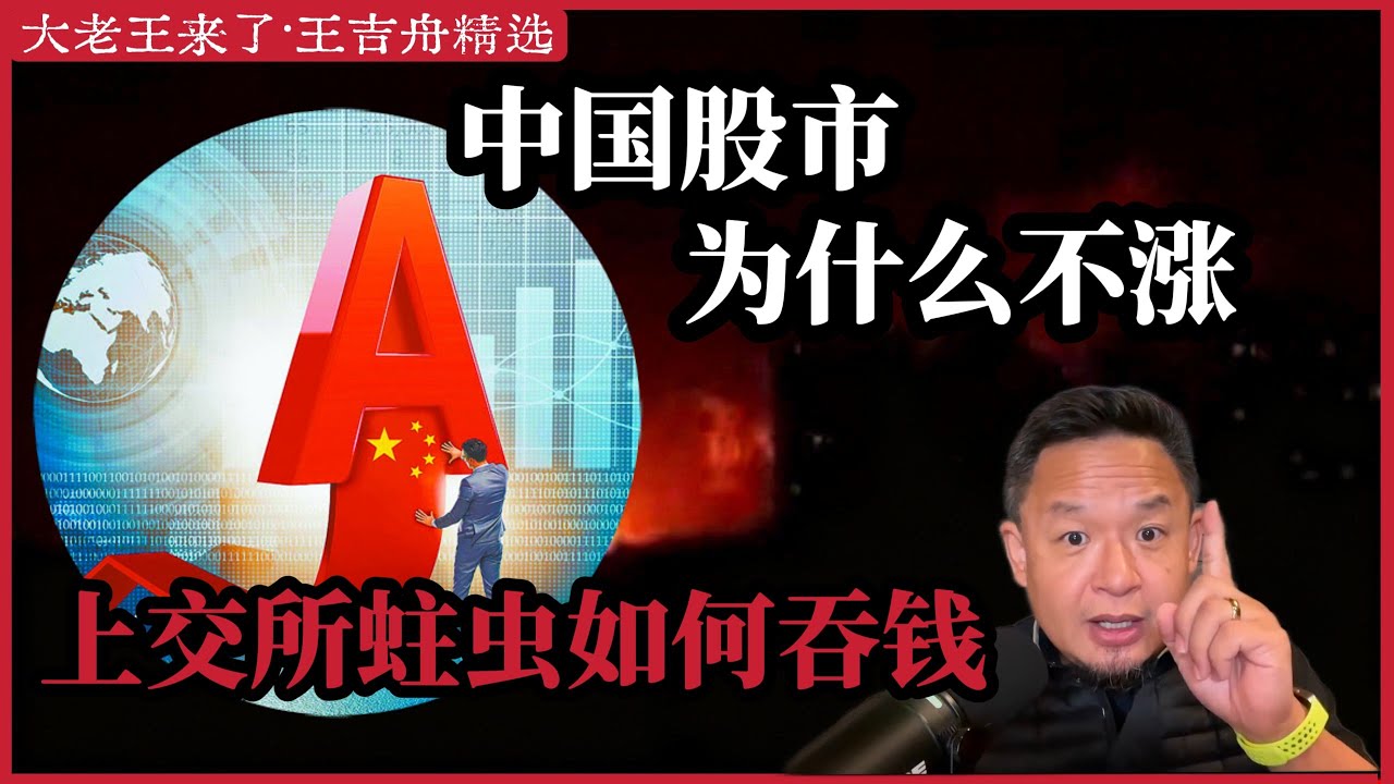 王吉舟:中国股市为什么不涨？讲讲上交所的蛀虫们是如何吞钱的|中国证券交易所黑幕|A股|老王金融|老王来了