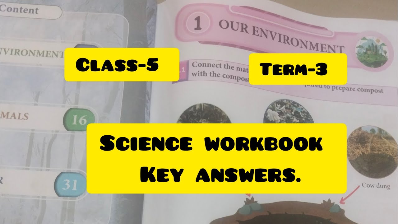 5th std English Medium/science workbook key answers/term-3/unit-1/Our environment 🌲🌲🌲🌲🌲🌺🌺🌹🌹🌹🌲🌲🌺🌺