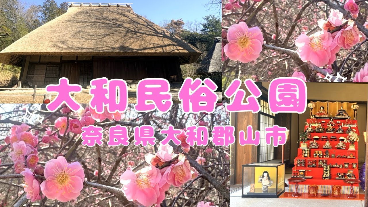 梅林が見頃な大和民俗公園をぶらり散歩/大和郡山市/奈良県/梅林/japan/nara