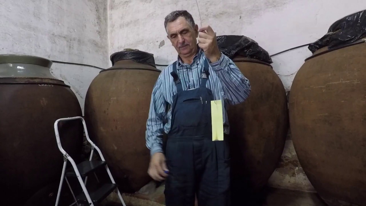 ACV Vinhos de Talha