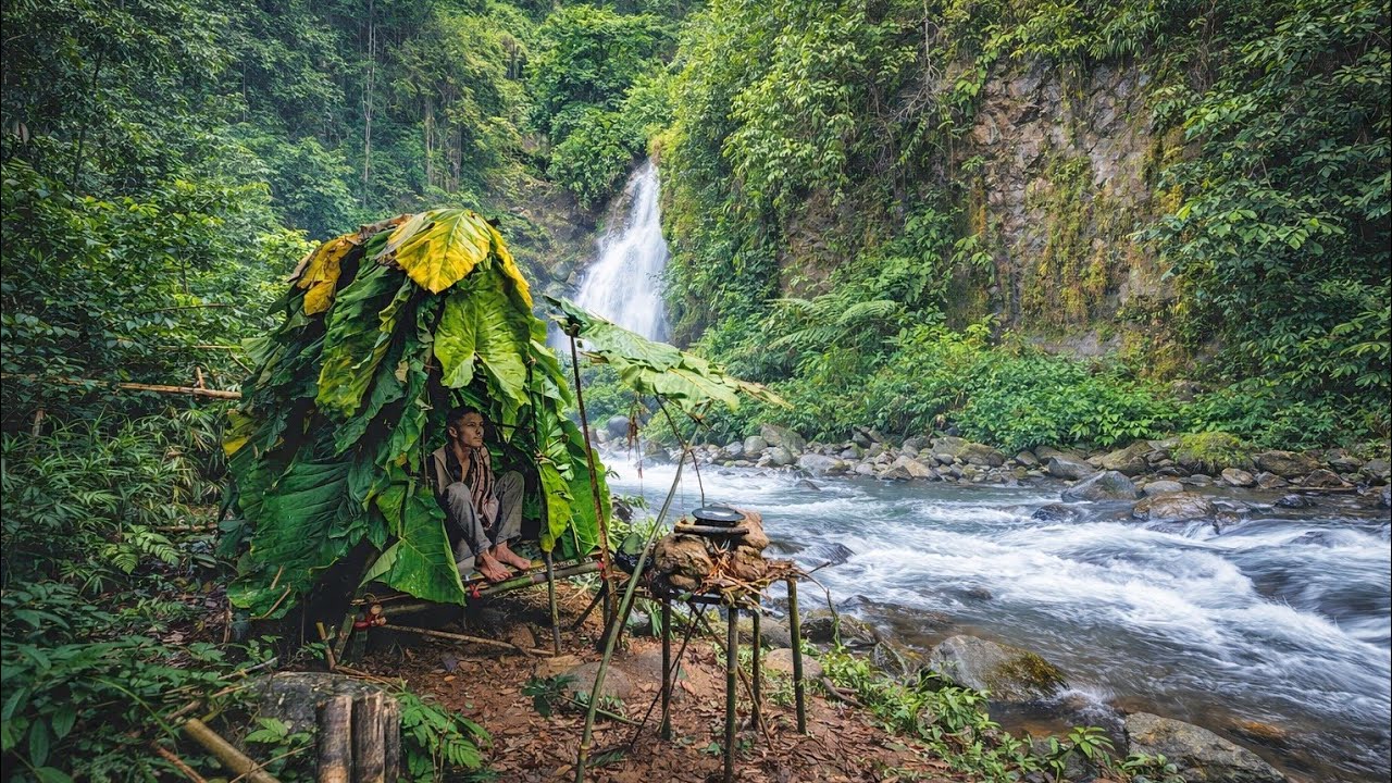 building a shelter with a taro leaf roof during heavy rain