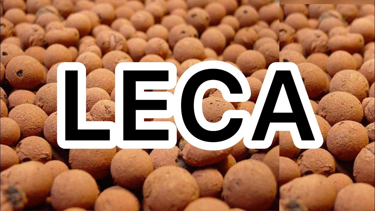 Leca? Что это? Как это используется? Объяснение и демонстрация…