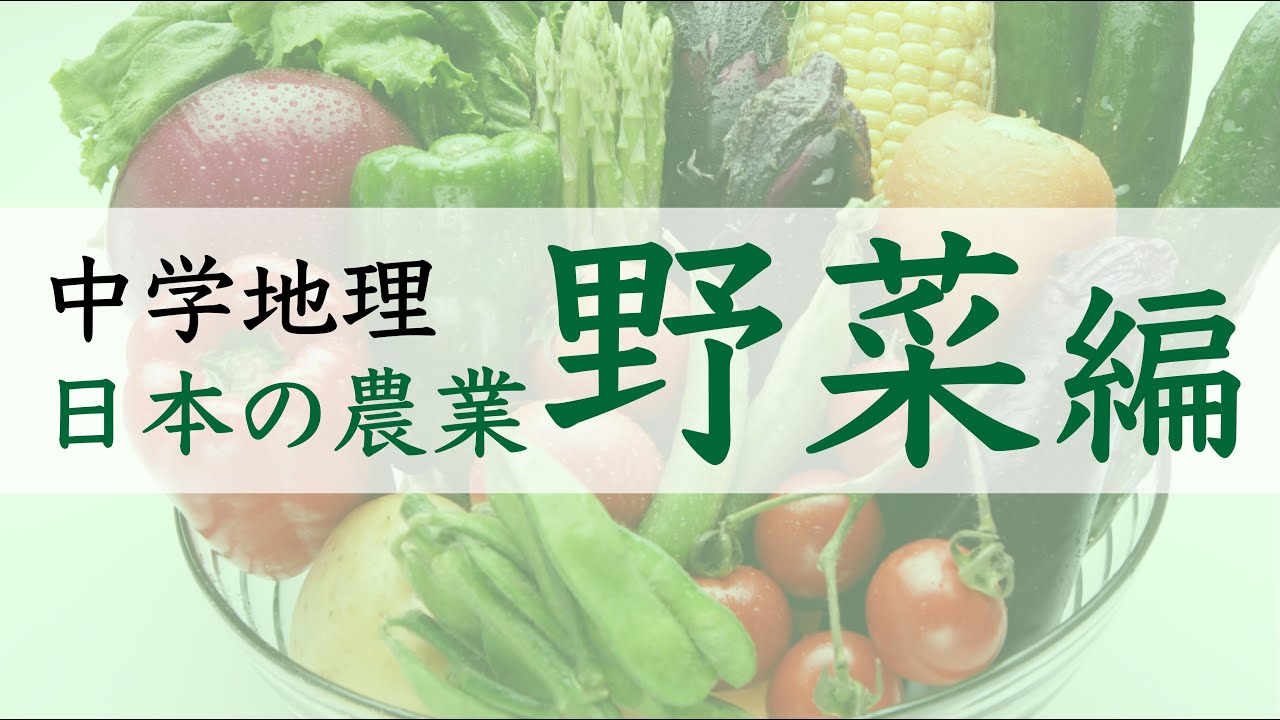 【中3 中2】日本の農業②　〜野菜編〜