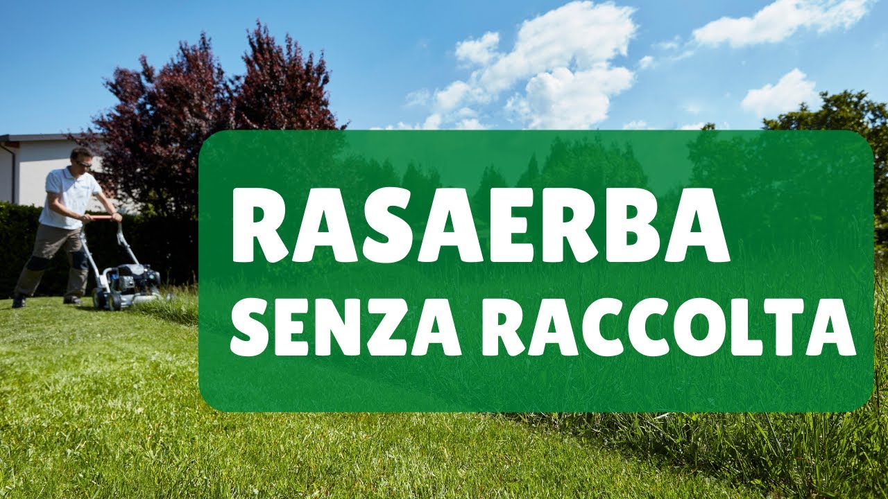 Perch&egrave; il tagliaerba Grin polverizza l'erba?