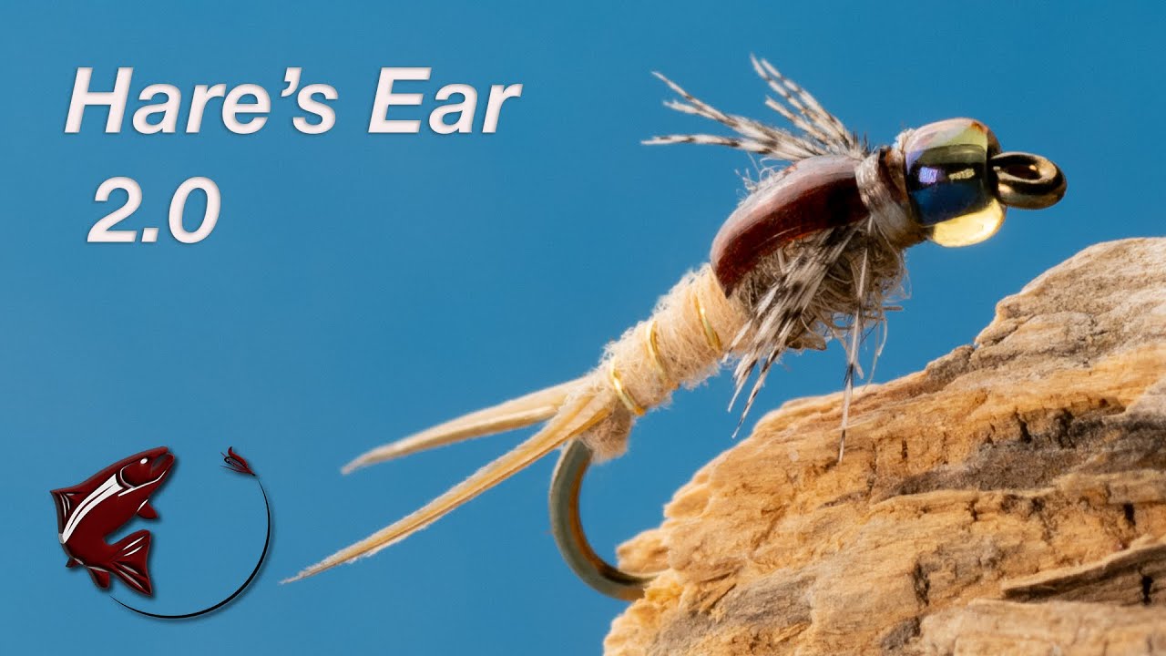 Hare's Ear 2 0