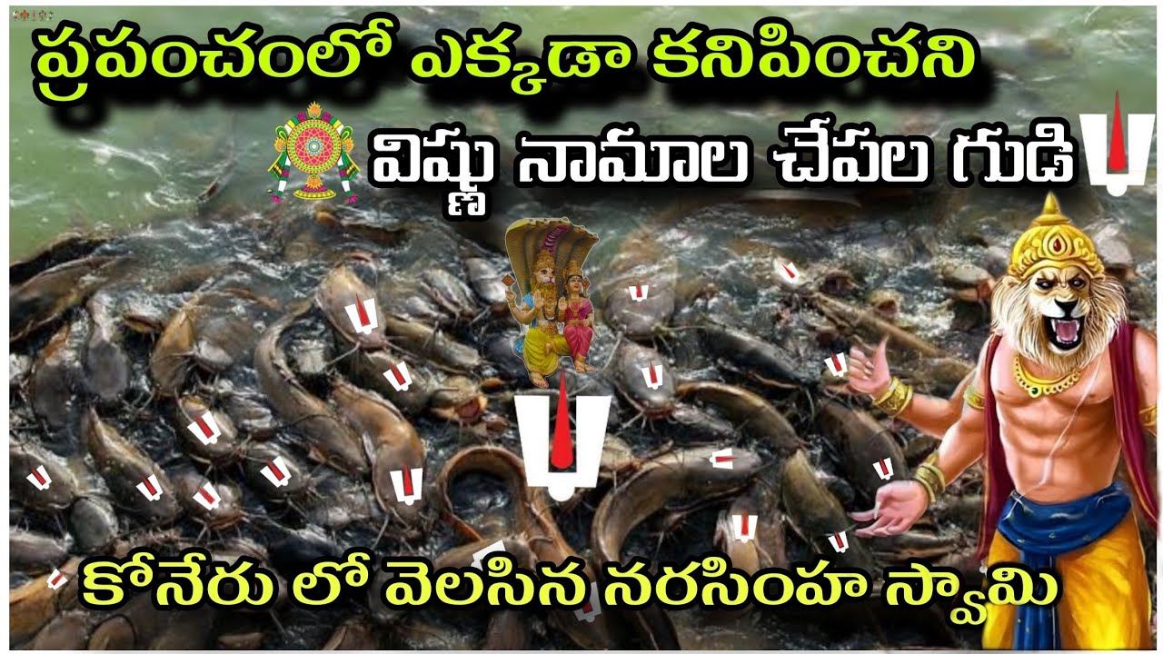 Matsyagiri narashima swamy temple | Sri Mathsyagiri Lakshmi Narasimha Swamy Devasthanam(Vemulakonda)