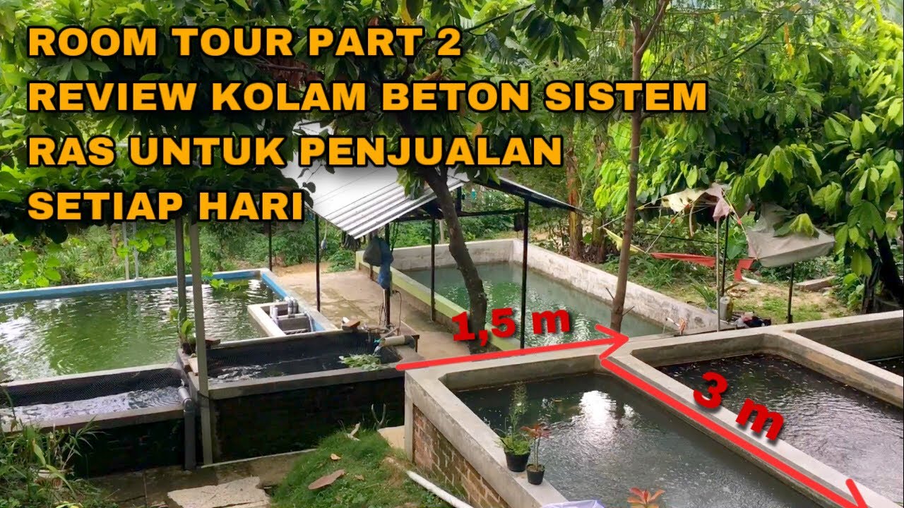 REVIEW DETAIL SPESIFIKASI KOLAM BETON MINIMALIS SISTEM RAS UNTUK PENJUALAN IKAN NILA | PART 2
