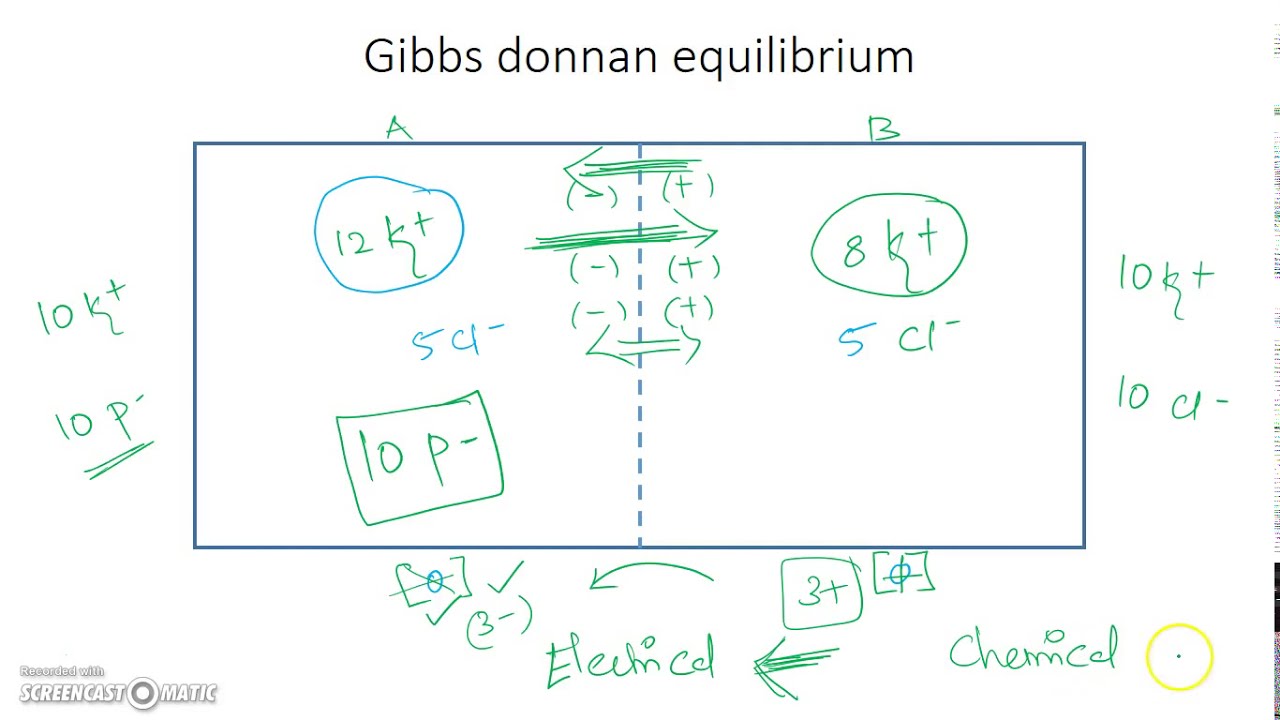 Gibbs Donnan equilibrium and membrane potential