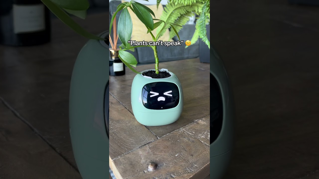 The best gift for plant lovers&hellip; 😍