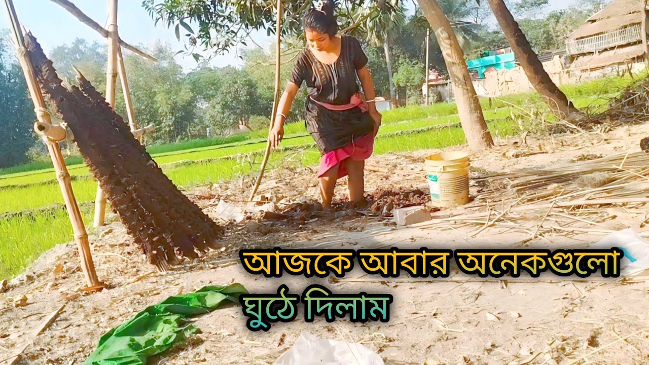 আজকে ভরদুপুরে আবারো পা দিয়ে গোবর চটকে অনেকগুলো গুঠে দিলাম।