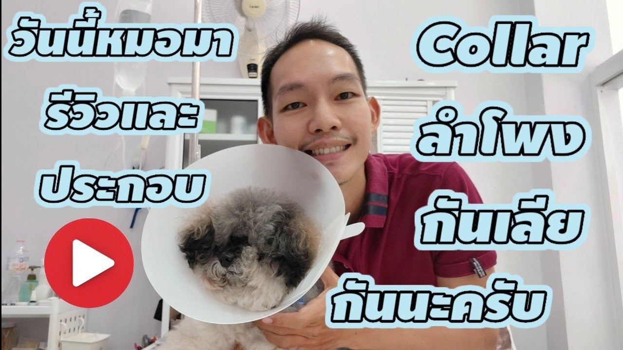 วันนี้หมอจะมารีวิวและประกอบ collar(ลำโพงกันเลีย)