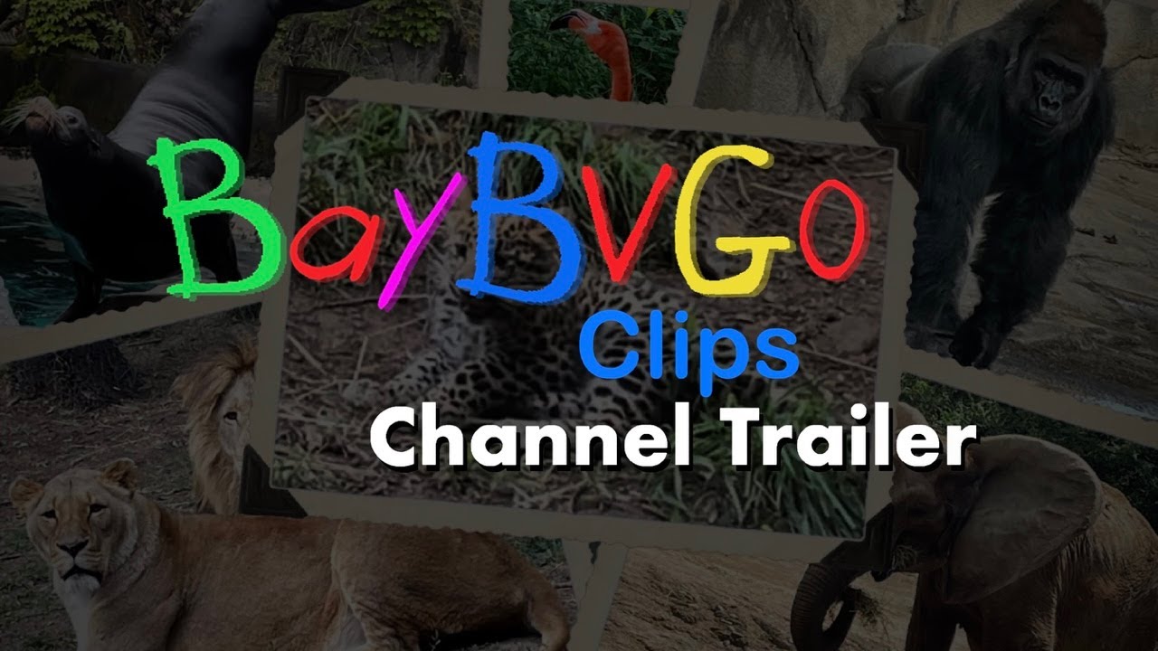 New Channel Announcement!!! (BayBVGo Clips Channel Trailer)